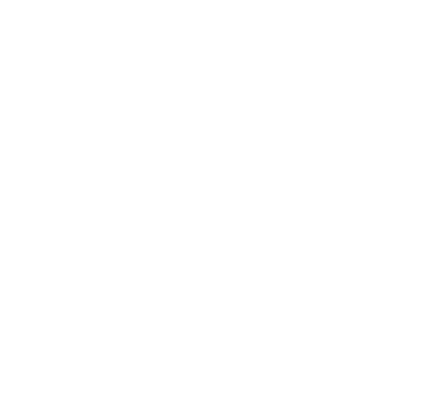 HolidayLights home
